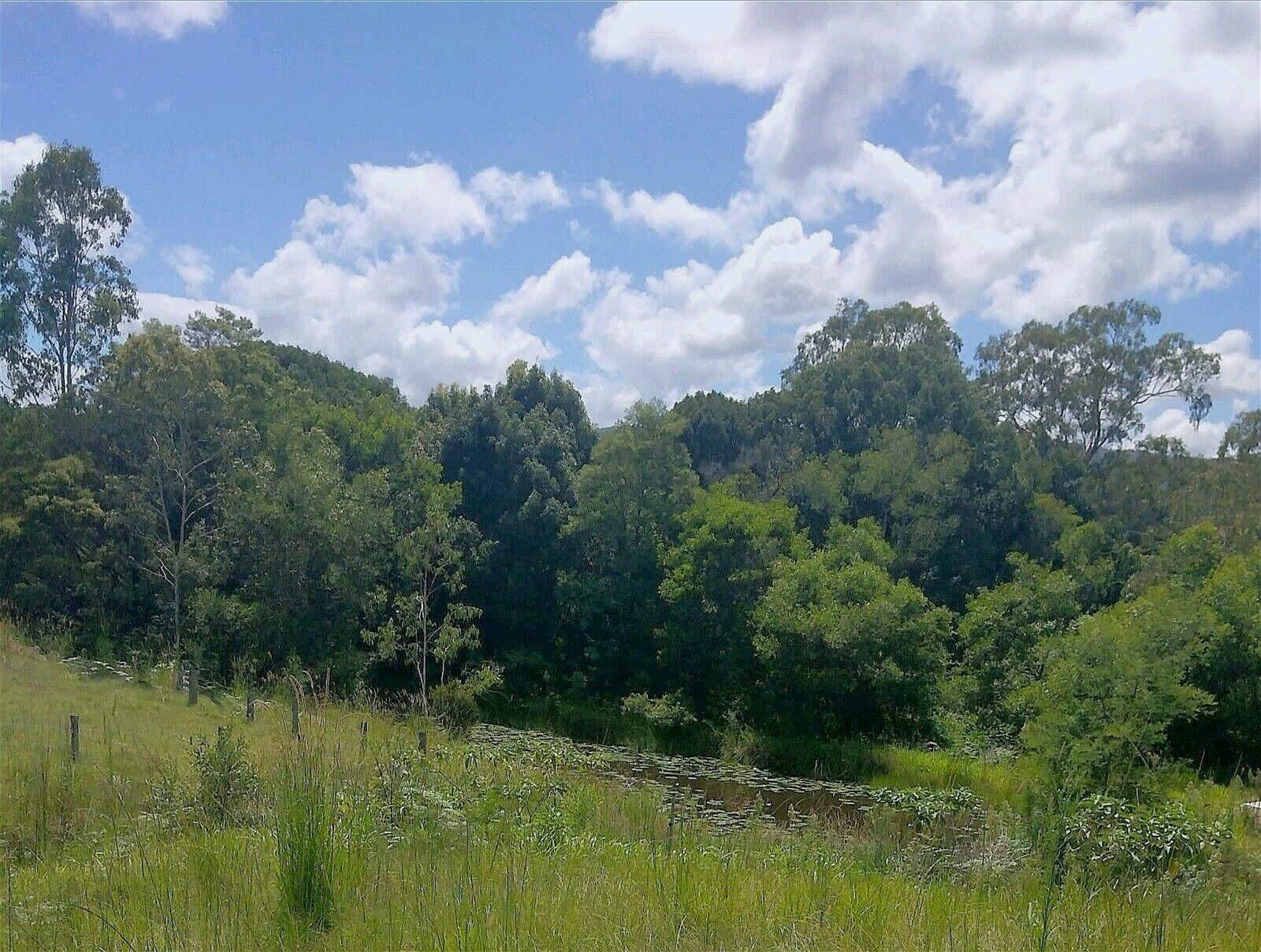1845 Cawongla Road Cawongla, Cawongla For Sale by Farmbuy.com - image 2