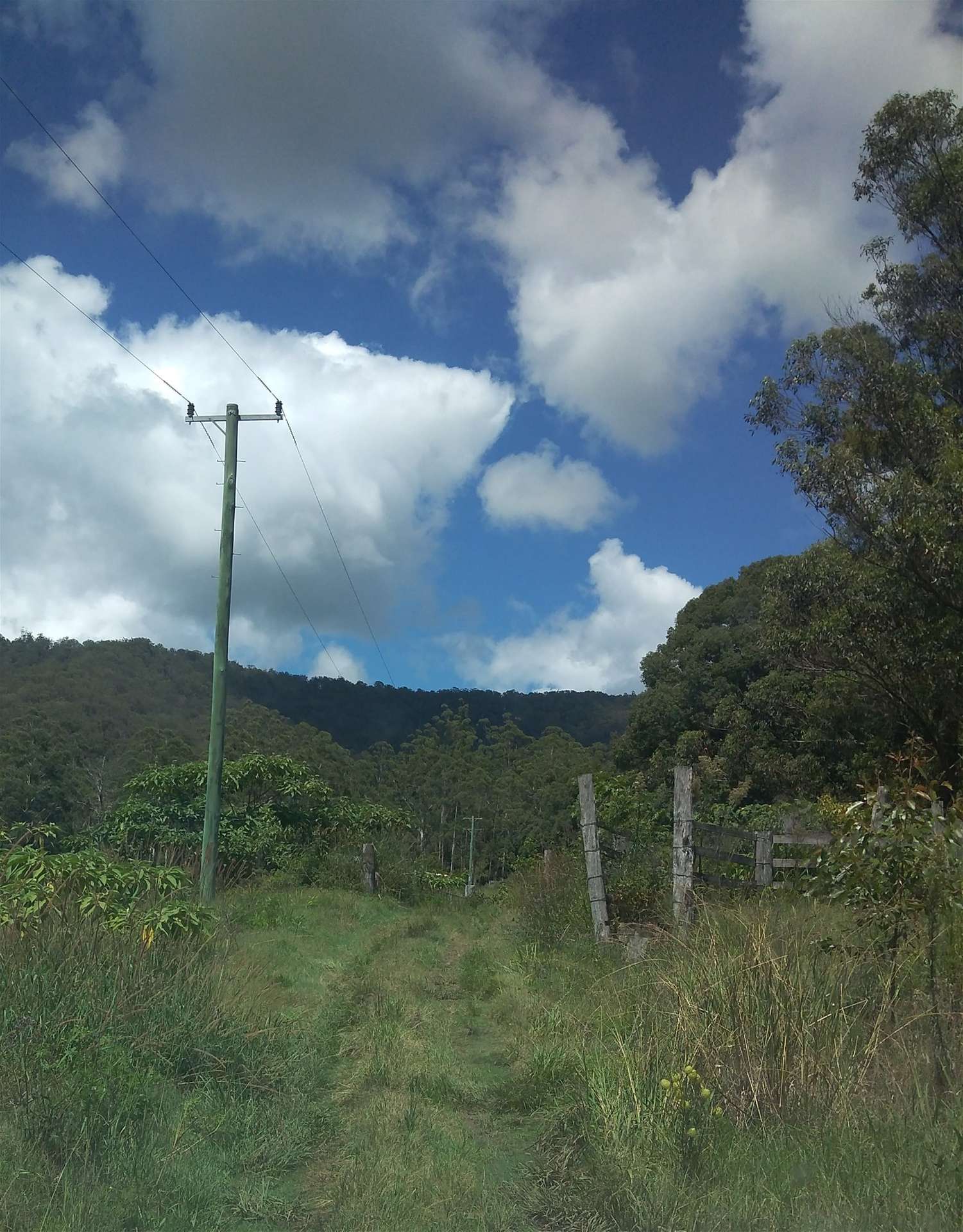 1845 Cawongla Road Cawongla, Cawongla For Sale by Farmbuy.com - image 3