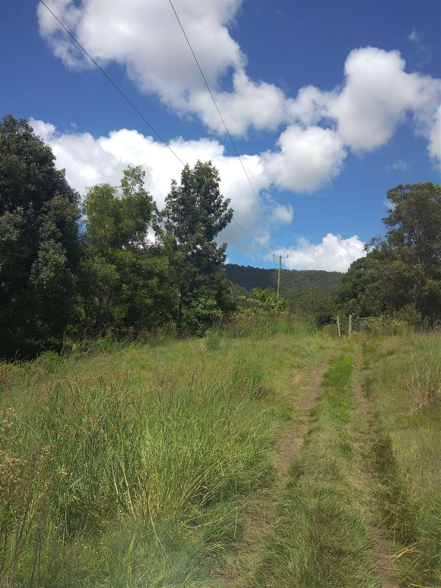 1845 Cawongla Road Cawongla, Cawongla For Sale by Farmbuy.com - image 5