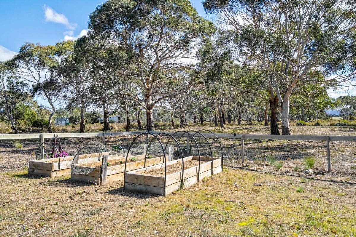 277 Cambria Drive, Dolphin Sands For Sale by Farmbuy.com - image 30