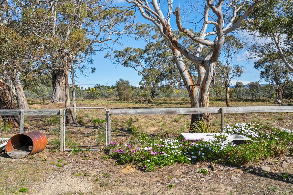 277 Cambria Drive, Dolphin Sands For Sale by Farmbuy.com - image 31