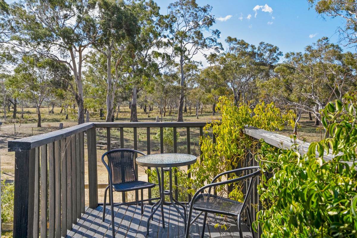 277 Cambria Drive, Dolphin Sands For Sale by Farmbuy.com - image 14