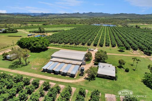 65895 Burke Developmental Road, Dimbulah QLD 4872