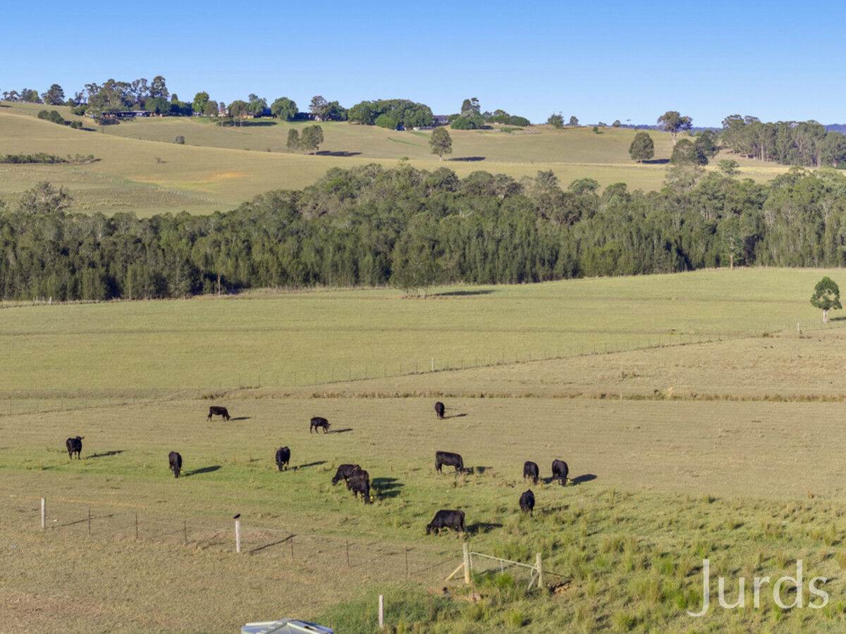 Lot 2 Off Gillards Road, Pokolbin Sold by Farmbuy.com - image 14