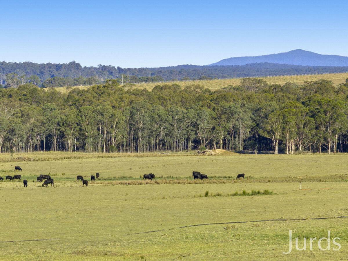 Lot 2 Off Gillards Road, Pokolbin Sold by Farmbuy.com - image 7