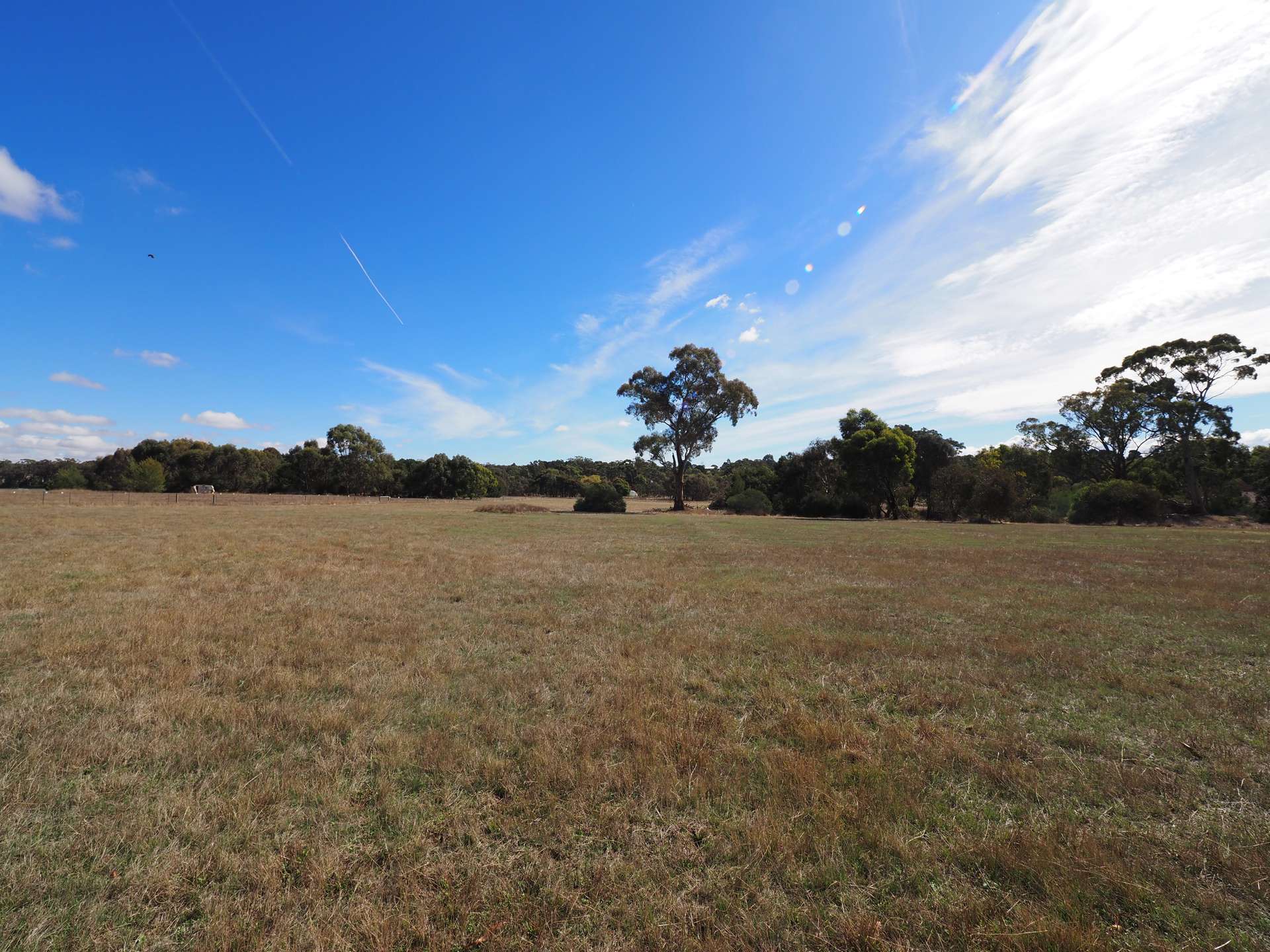Lot 2 Torneys Lane, Beaufort For Sale by Farmbuy.com - image 8
