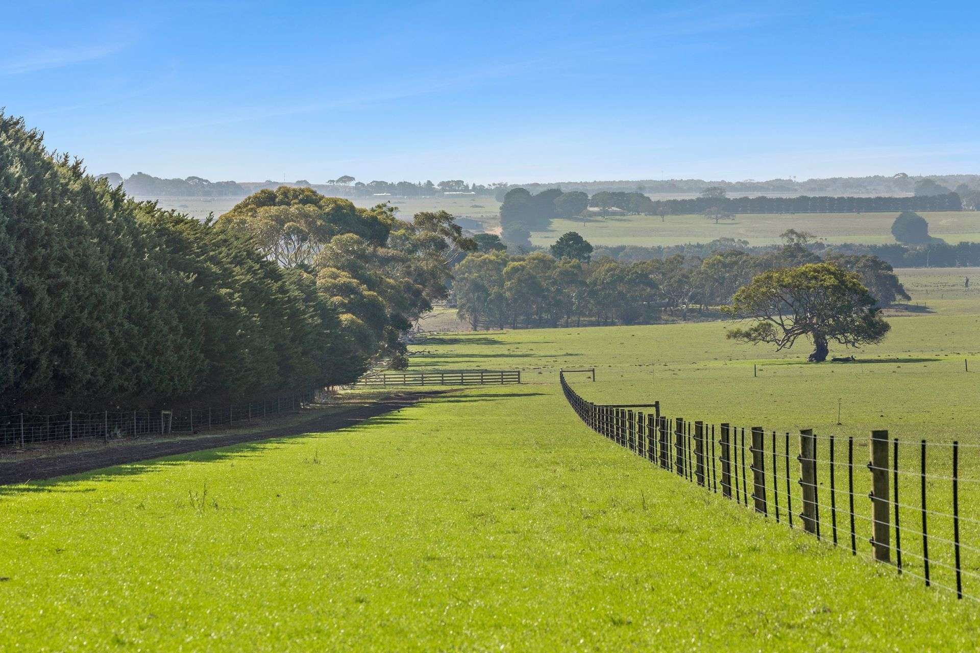 1320 Blackgate Road, Freshwater Creek For Sale by Farmbuy.com - image 5