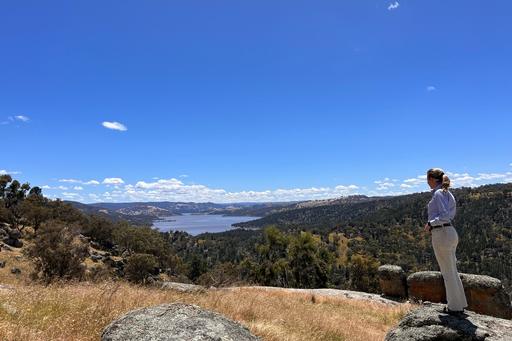 Lot 4 Tarrants Gap Road, Wyangala NSW 2808