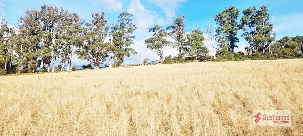 Lot 2 Storys Road, Lebrina For Sale by Farmbuy.com - image 6