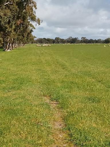 Allotment 11 Black Road, Keith SA 5267