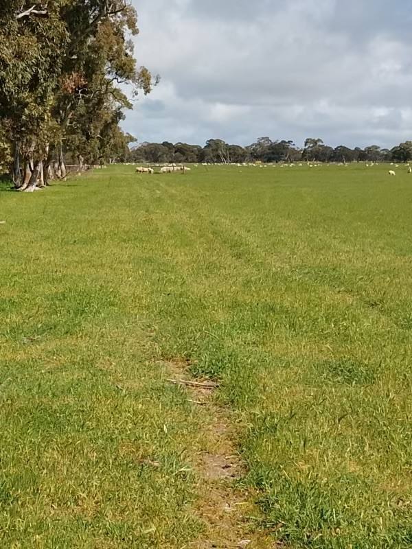 Allotment 11 Black Road, Keith SA 5267