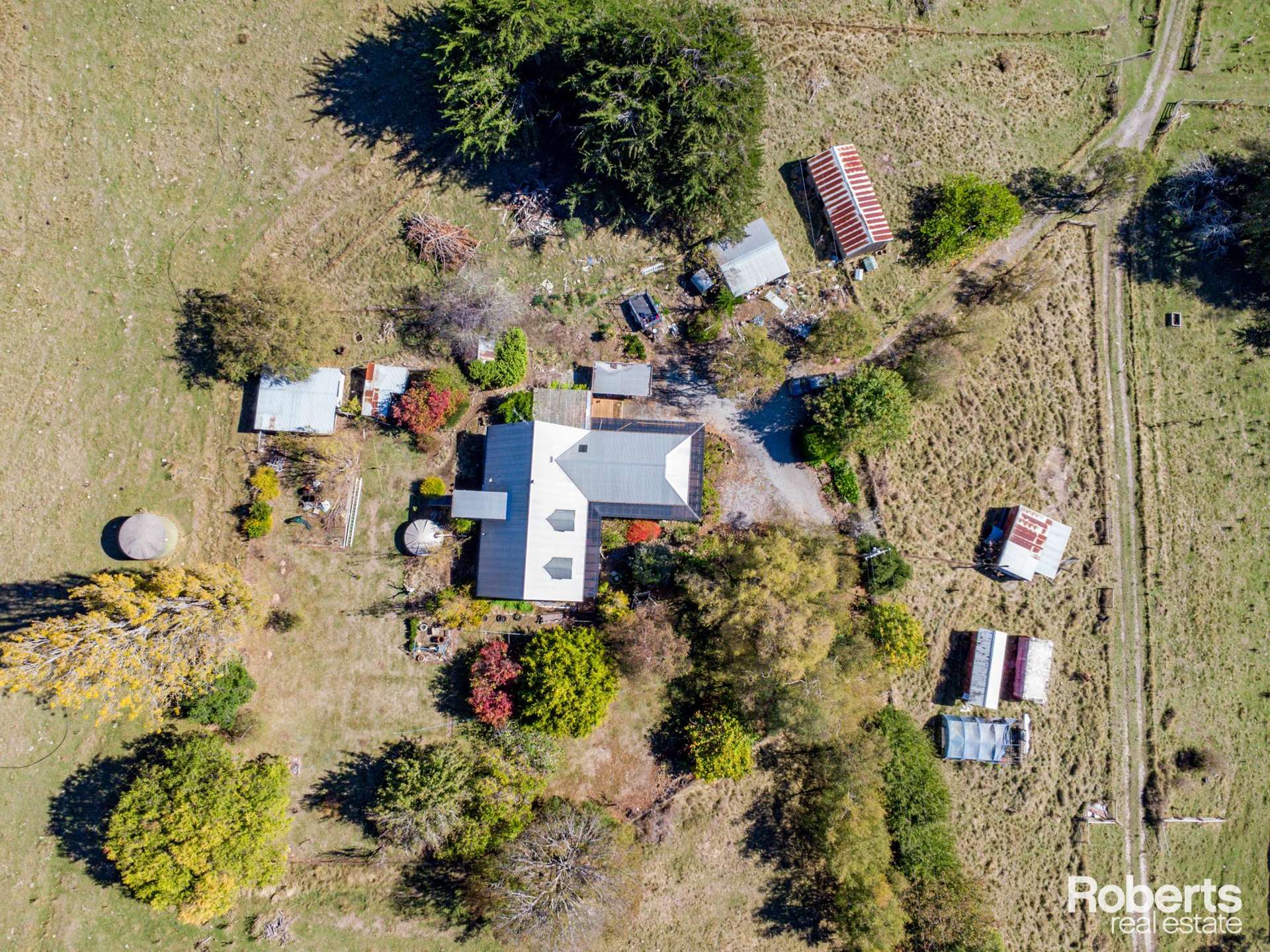 55 Miles Road, Mole Creek For Sale by Farmbuy.com - image 14