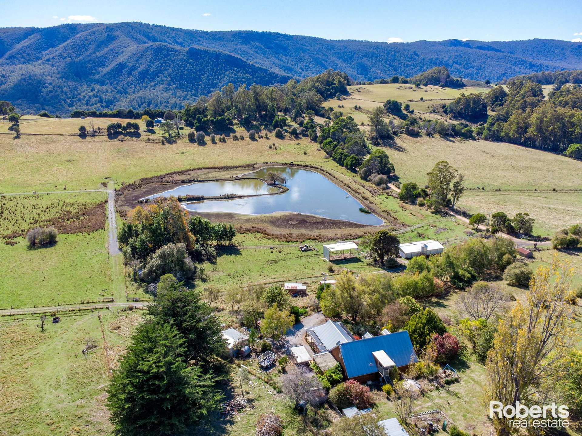 55 Miles Road, Mole Creek For Sale by Farmbuy.com - image 13