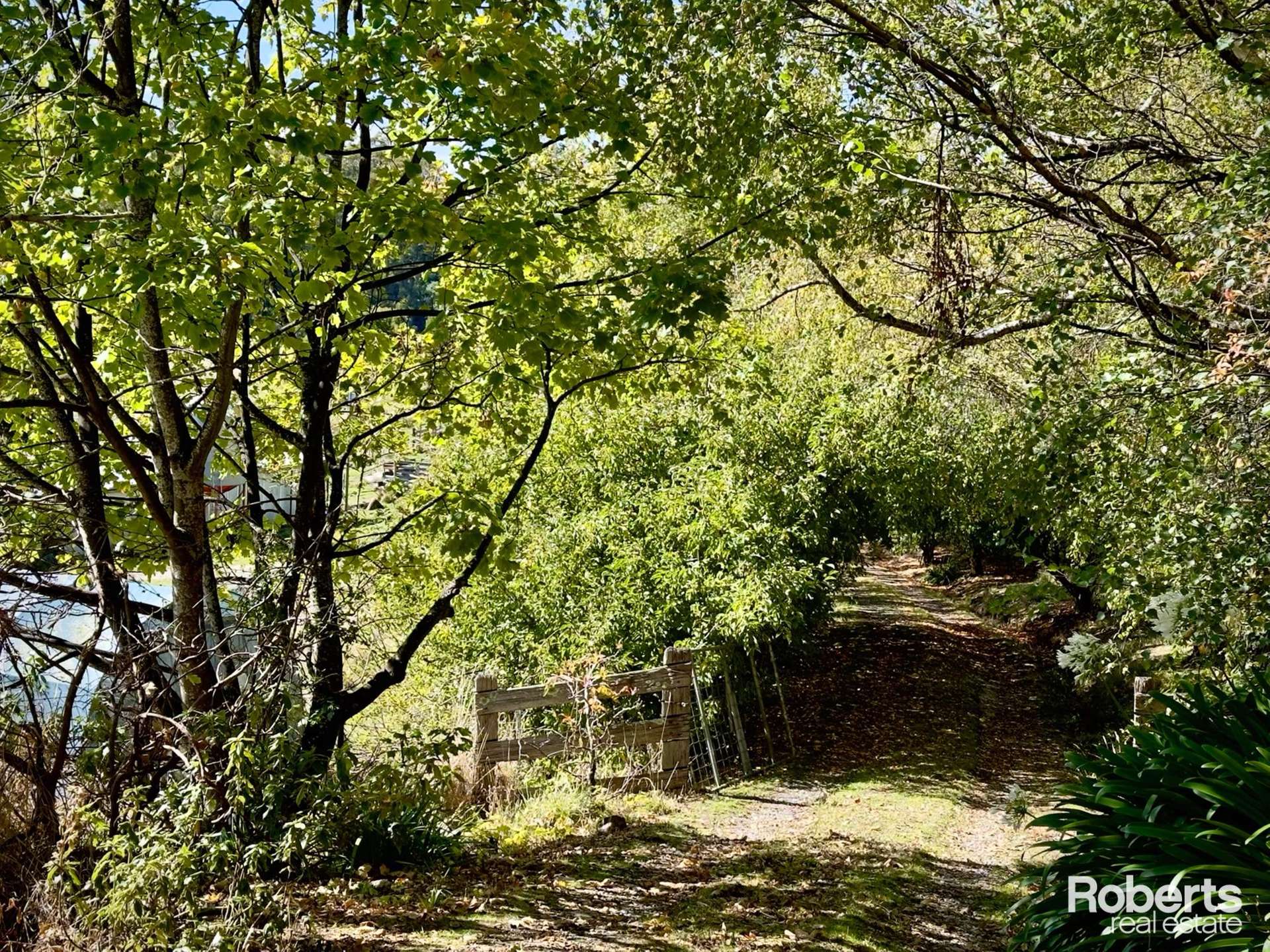 55 Miles Road, Mole Creek For Sale by Farmbuy.com - image 16
