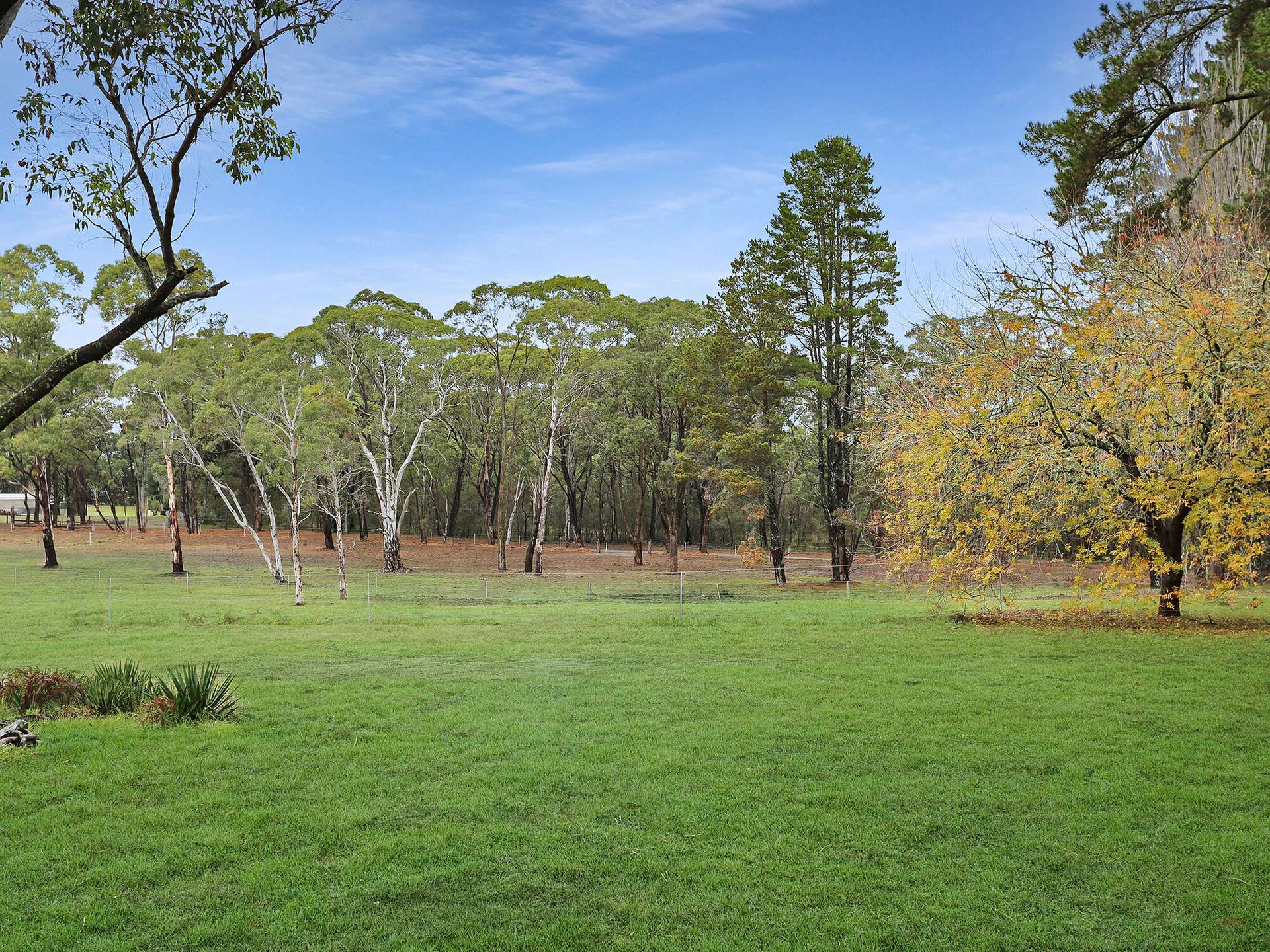 Lot 1 - 8,  Wildwood/Nandi/Wattlebird, Wingello For Sale by Farmbuy.com - image 8