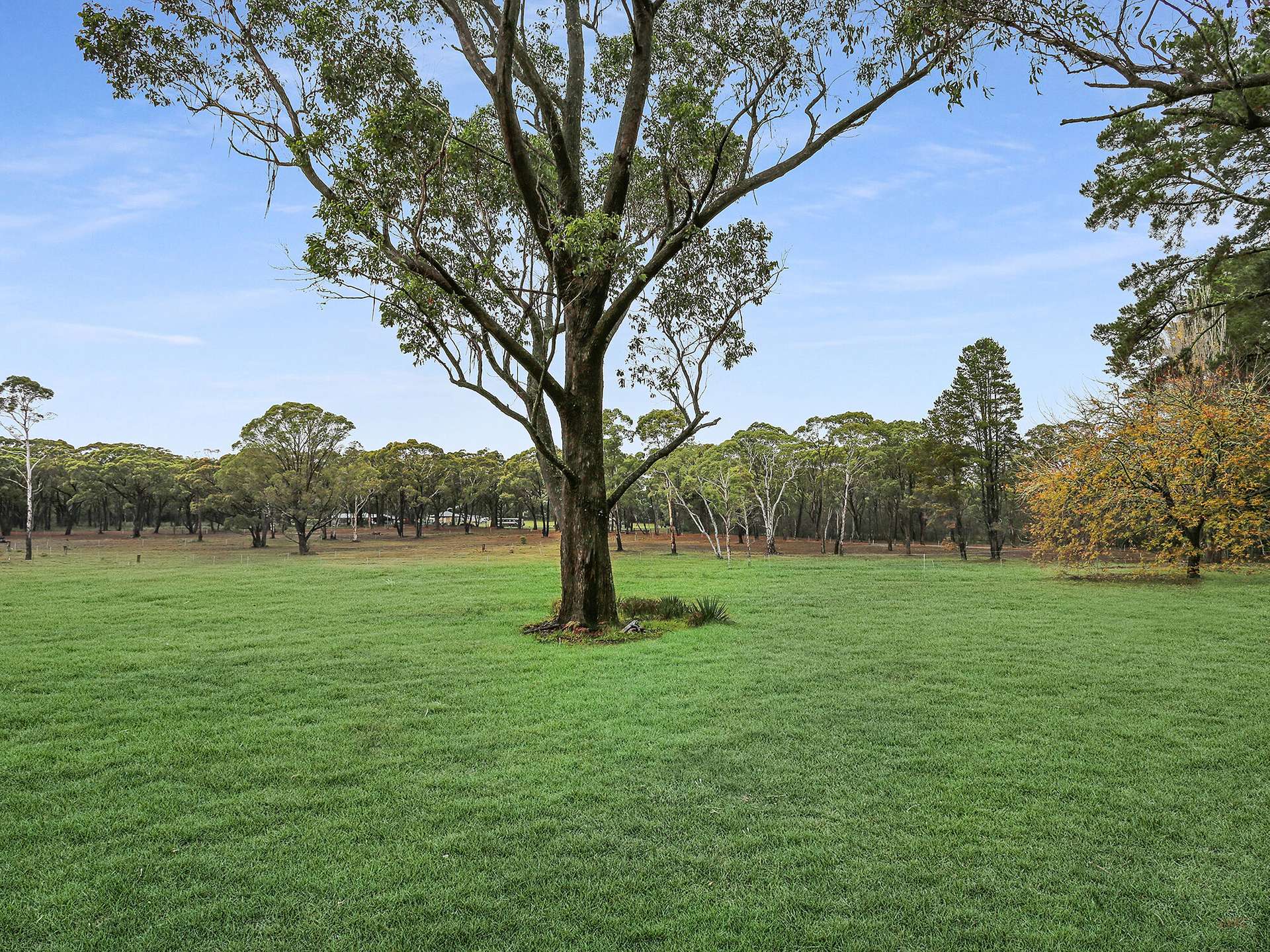 Lot 1 - 8,  Wildwood/Nandi/Wattlebird, Wingello For Sale by Farmbuy.com - image 10