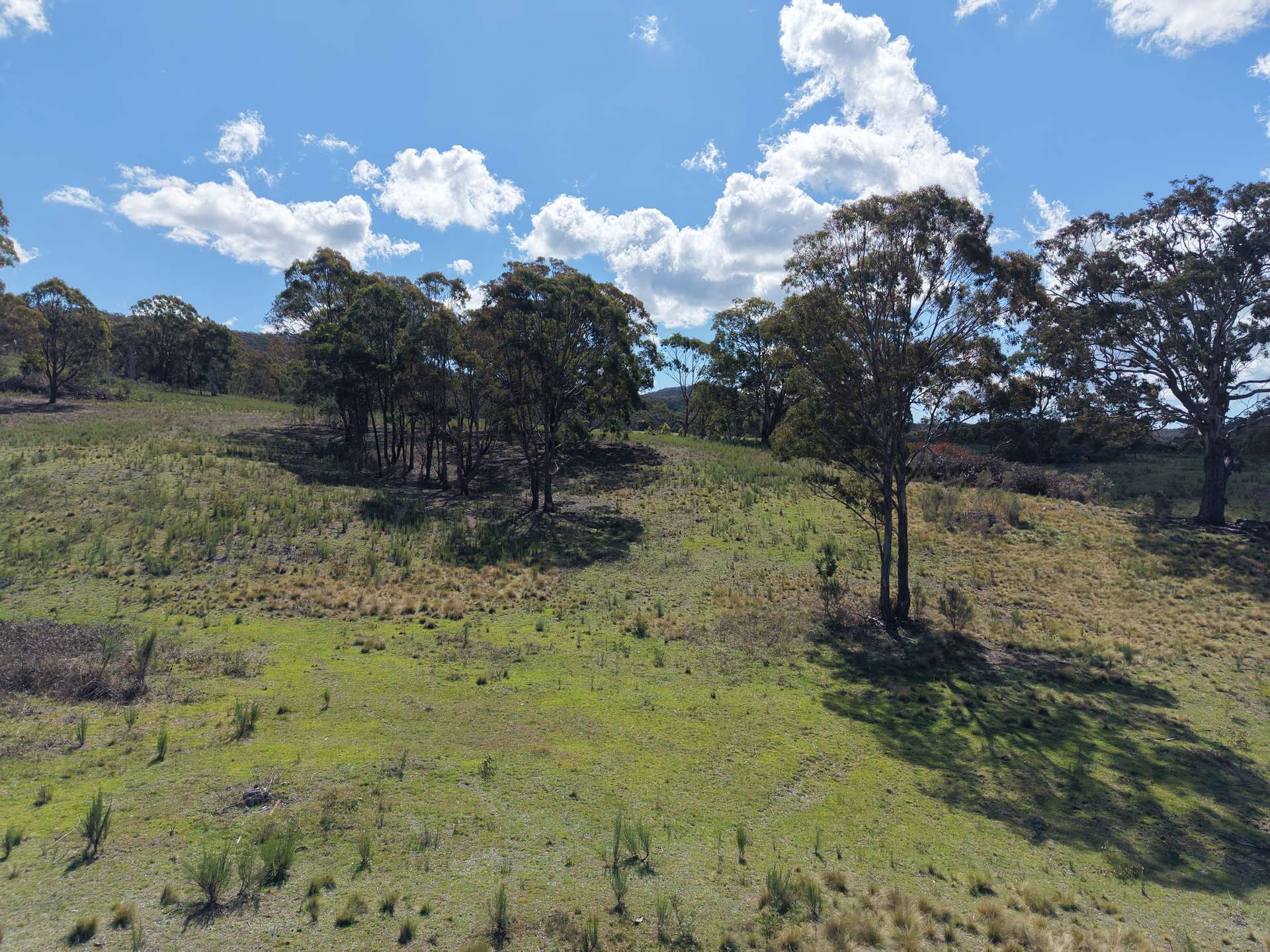 Lot 188 Marble Hill Road, Goulburn For Sale by Farmbuy.com - image 23