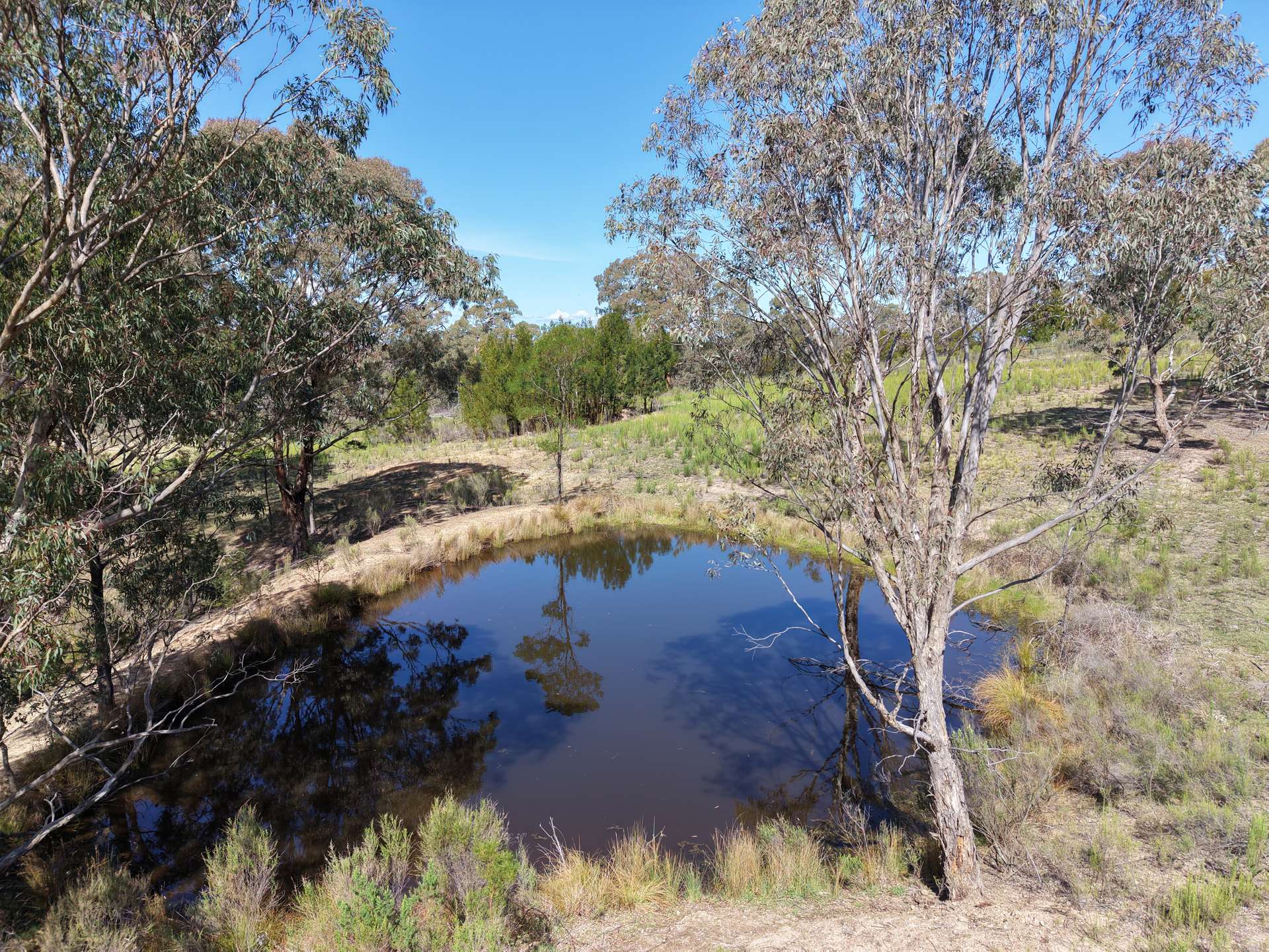 Lot 188 Marble Hill Road, Goulburn For Sale by Farmbuy.com - image 26