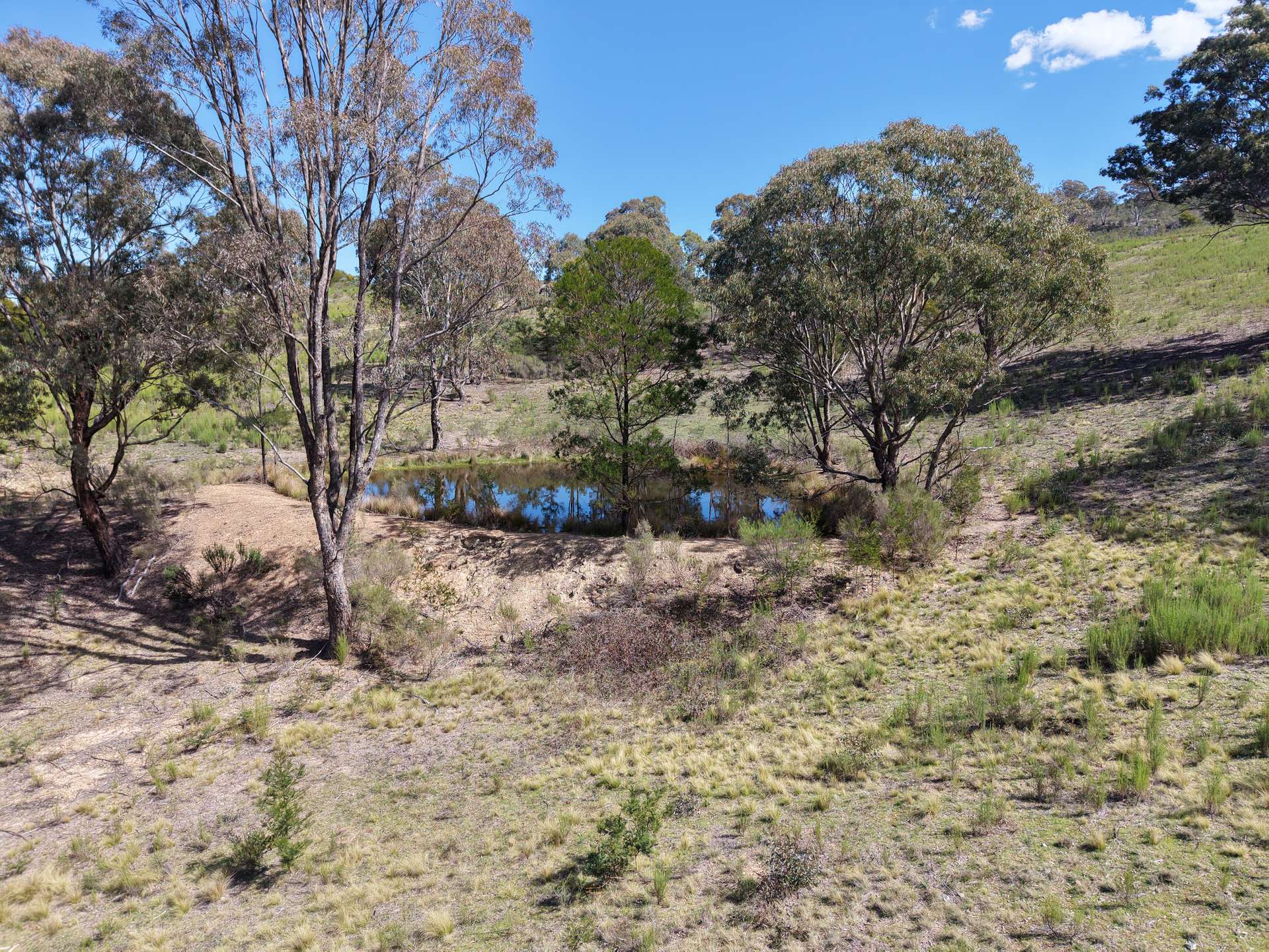Lot 188 Marble Hill Road, Goulburn For Sale by Farmbuy.com - image 24