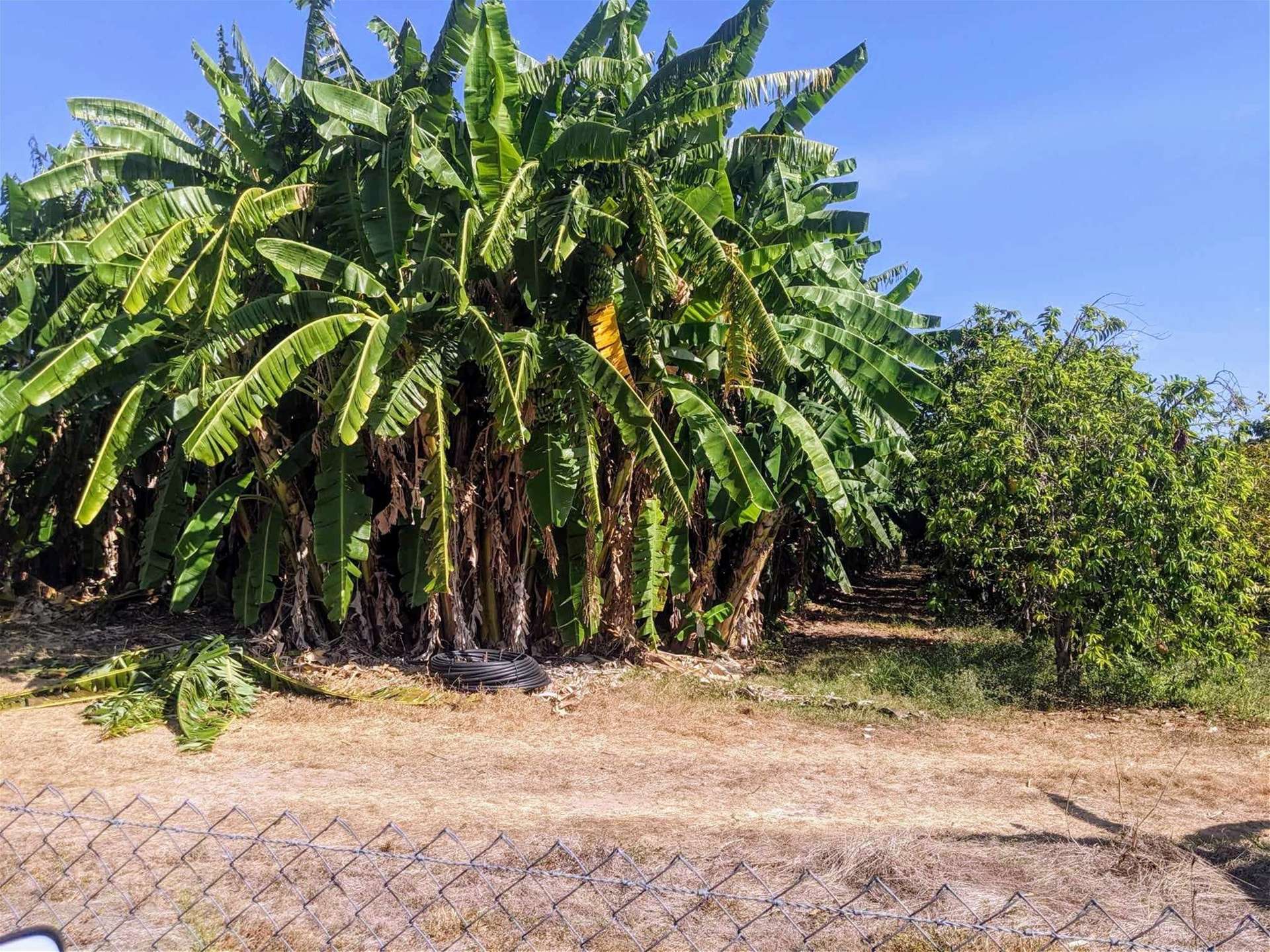 5915/2124 Arnhem Highway, Marrakai For Sale by Farmbuy.com - image 3