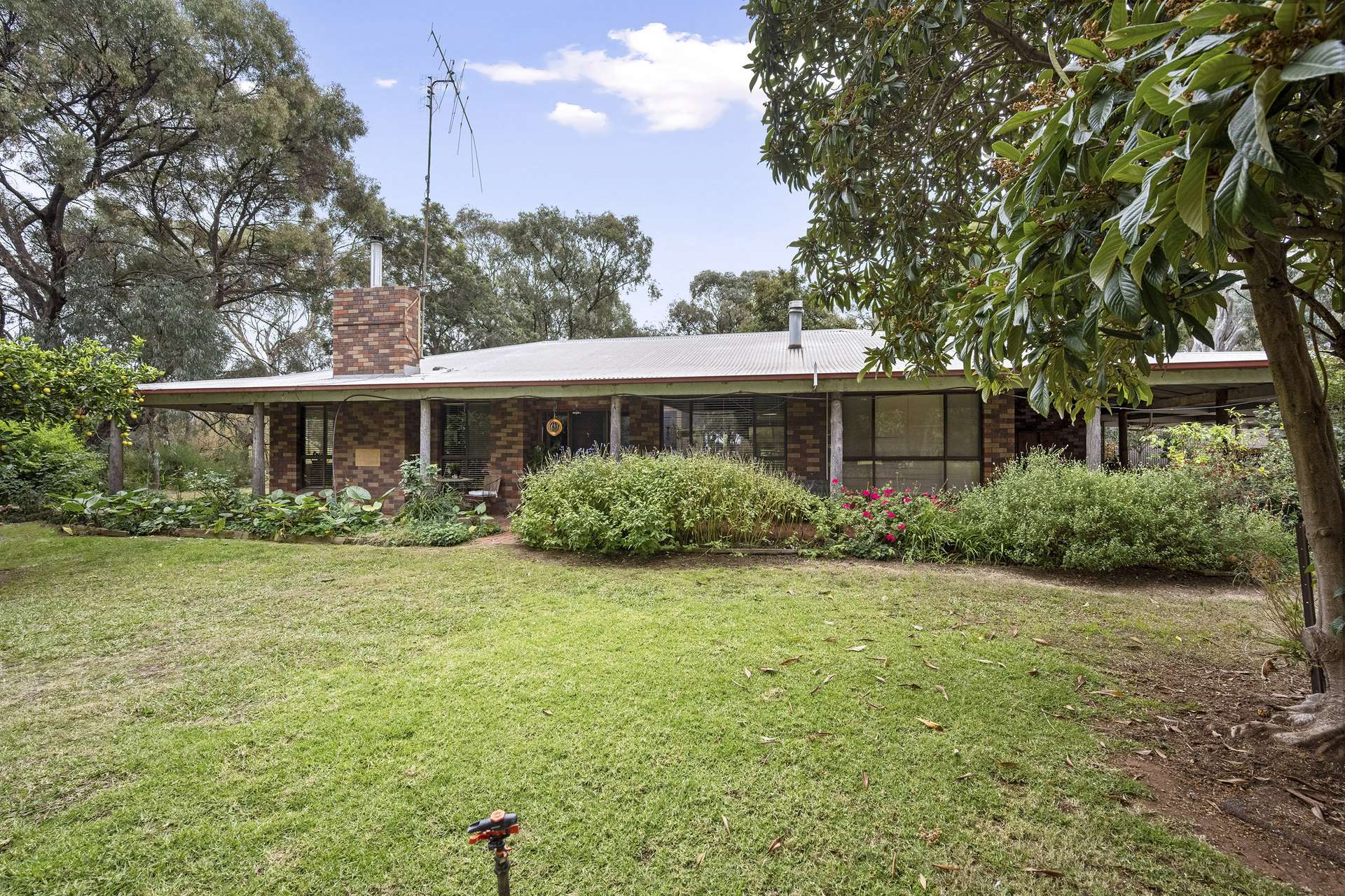 1 School Road, Gunbower For Sale by Farmbuy.com - image 6