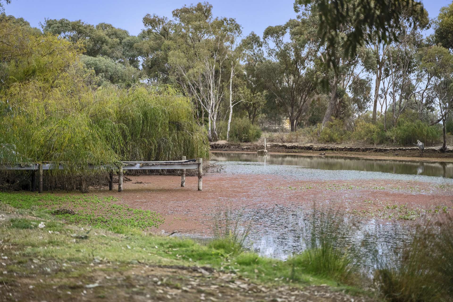 1 School Road, Gunbower For Sale by Farmbuy.com - image 2