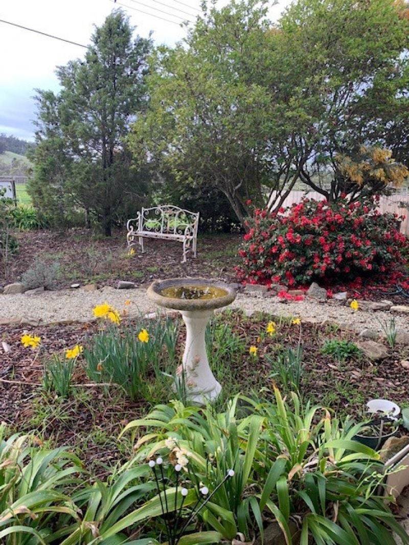 7 Meredith Street, Triabunna For Sale by Farmbuy.com - image 15