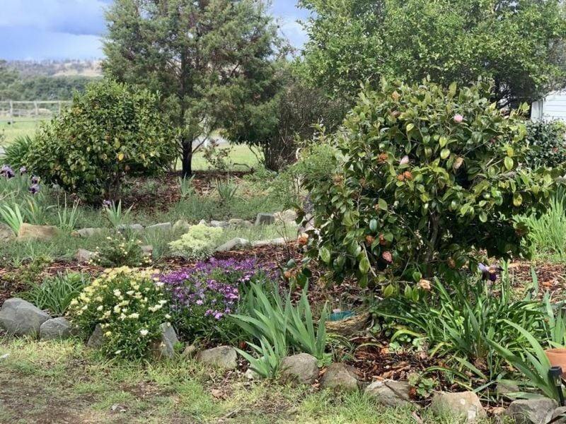 7 Meredith Street, Triabunna For Sale by Farmbuy.com - image 5