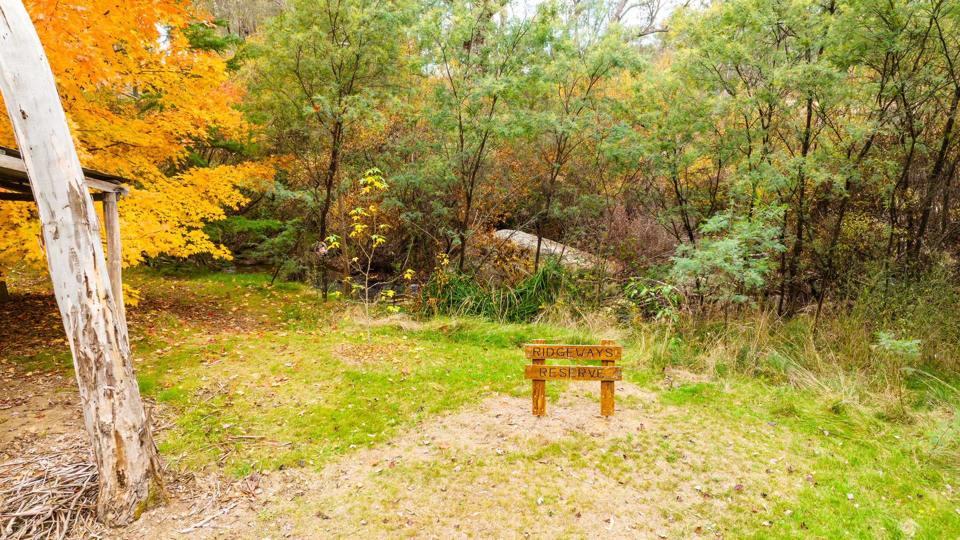 281 Osbornes Flat Road, Yackandandah Sold by Farmbuy.com - image 11