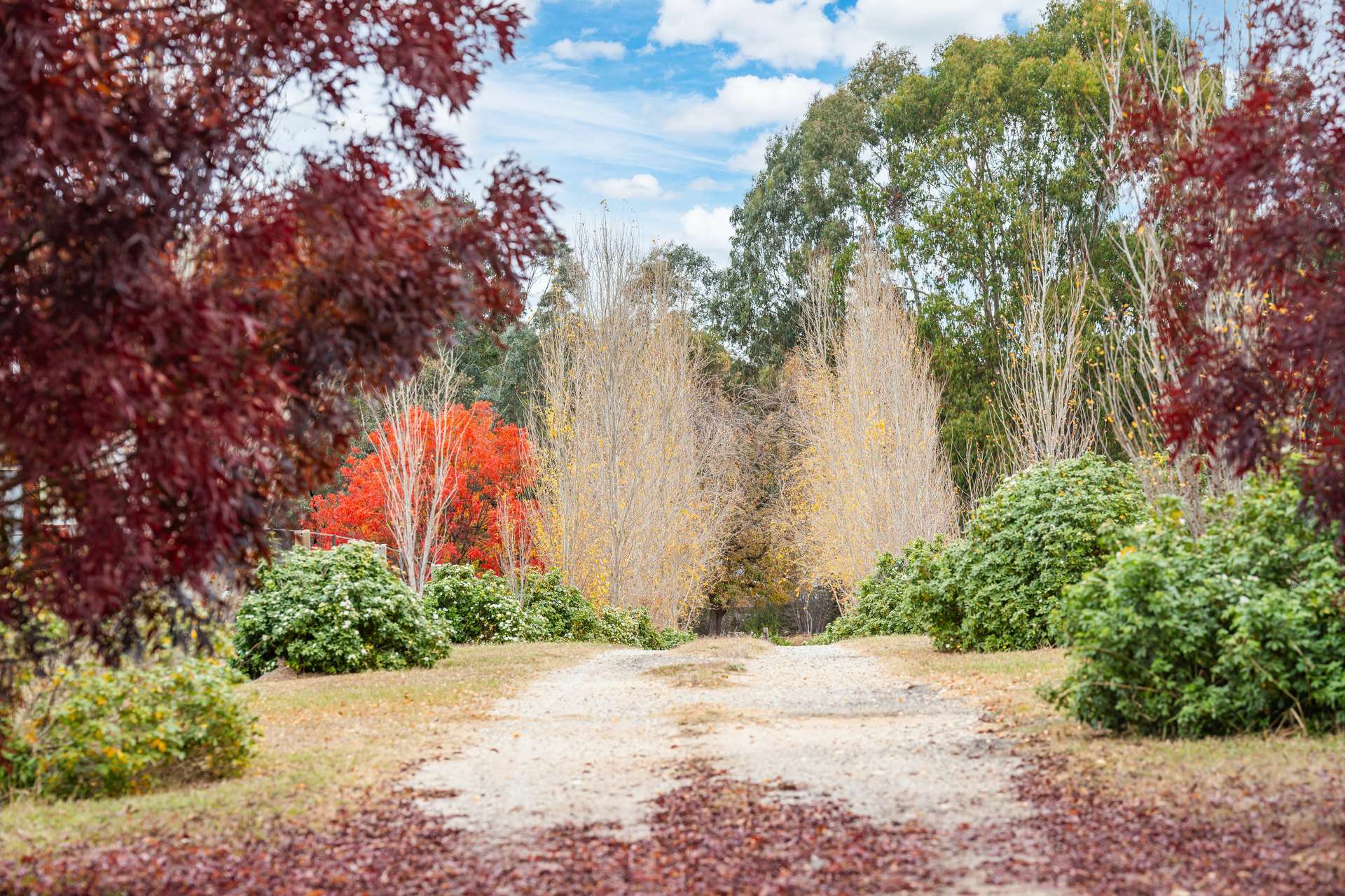 281 Osbornes Flat Road, Yackandandah Sold by Farmbuy.com - image 35