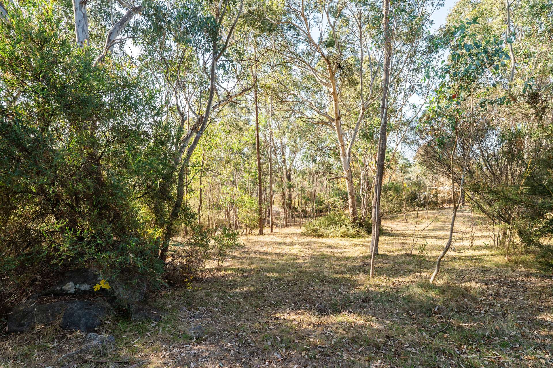 281 Osbornes Flat Road, Yackandandah Sold by Farmbuy.com - image 28
