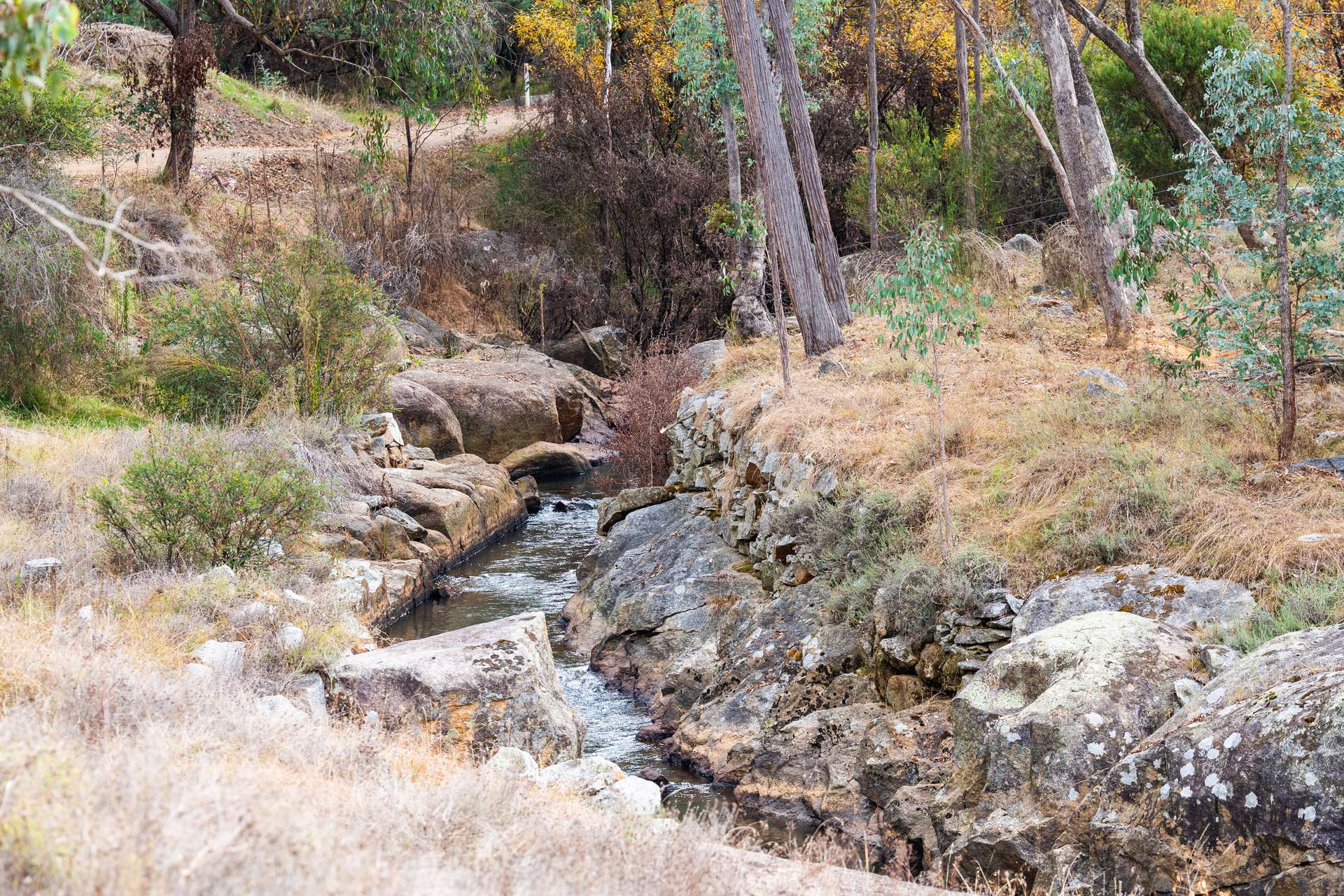 281 Osbornes Flat Road, Yackandandah Sold by Farmbuy.com - image 34