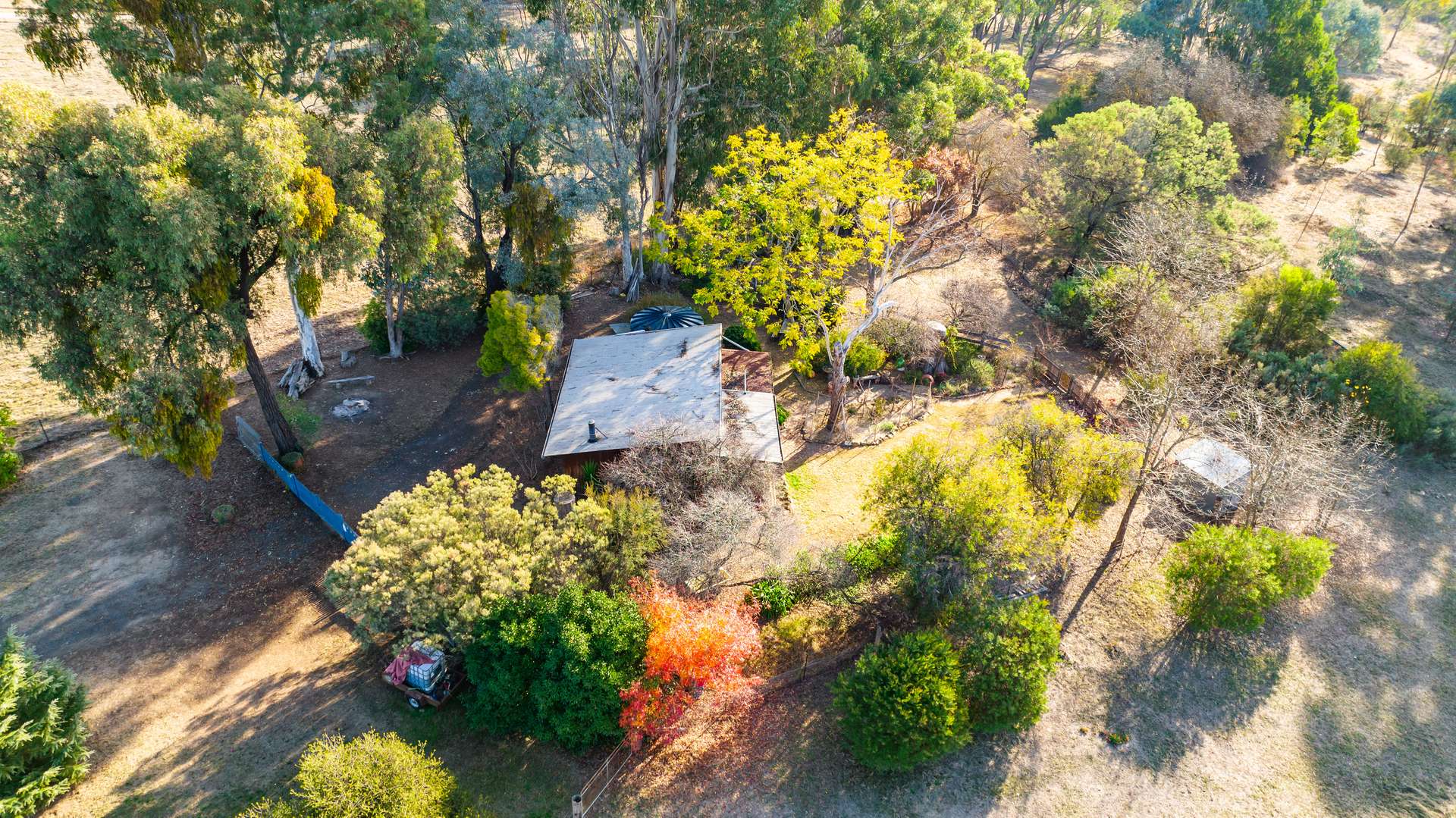 281 Osbornes Flat Road, Yackandandah Sold by Farmbuy.com - image 20