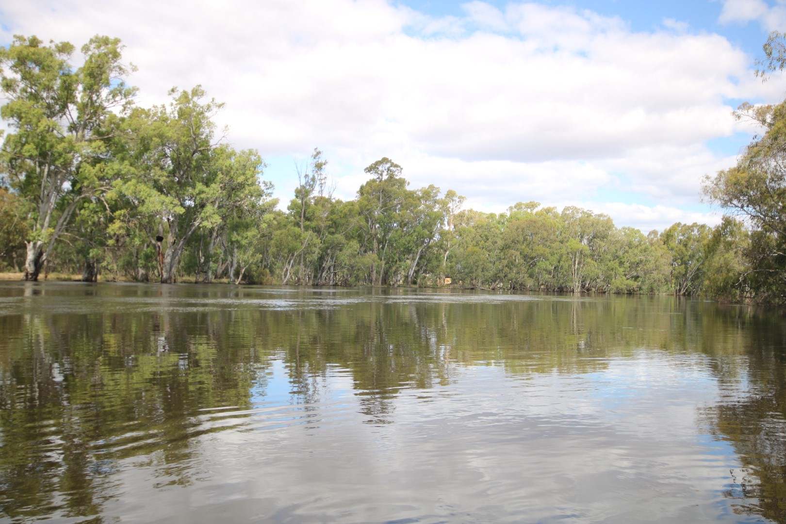 164 Morton Lane,, Benjeroop For Sale by Farmbuy.com - image 23