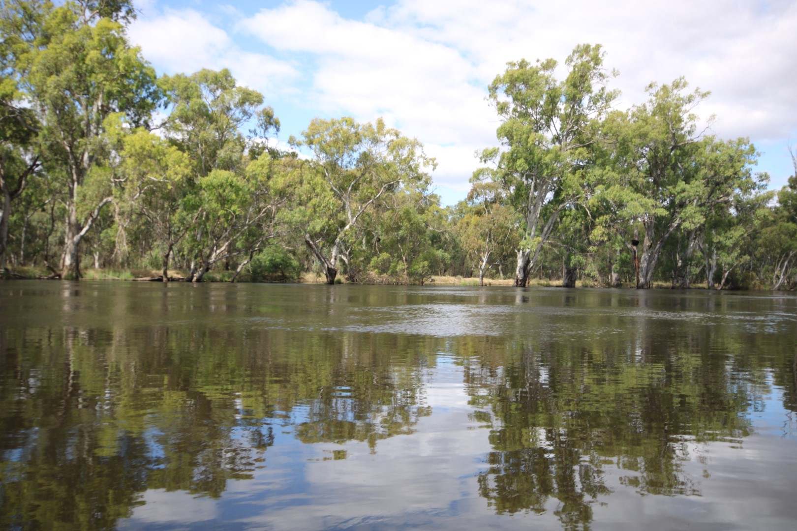 164 Morton Lane,, Benjeroop For Sale by Farmbuy.com - image 3