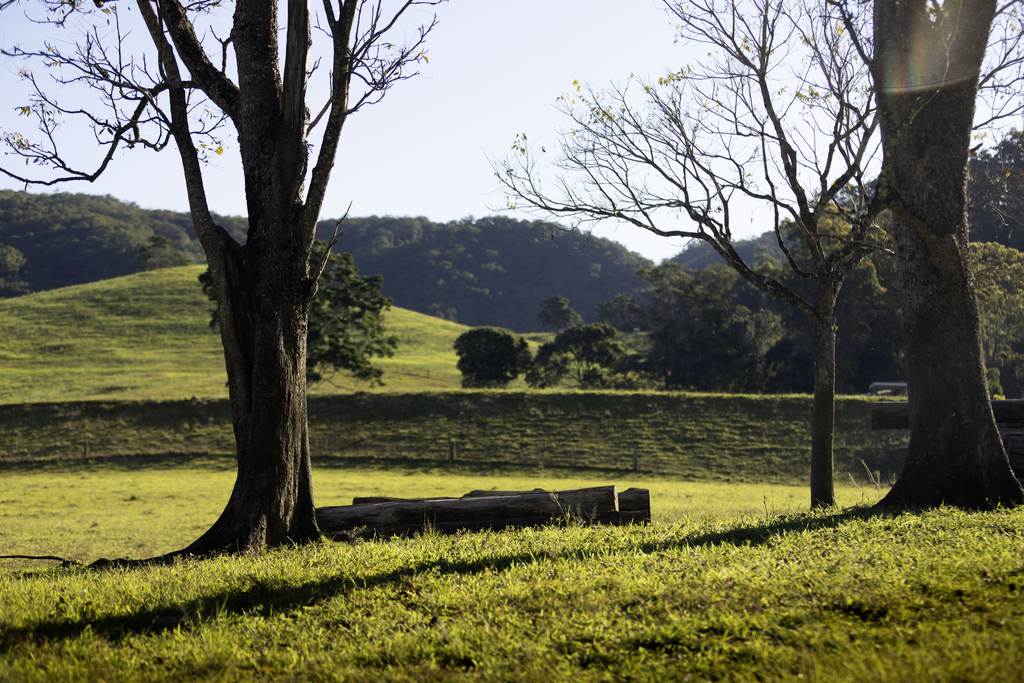 492 River Road, Peachester QLD 4519