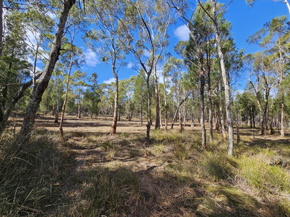 Lot 1,  Elizabeth Street, Pontypool For Sale by Farmbuy.com - image 6