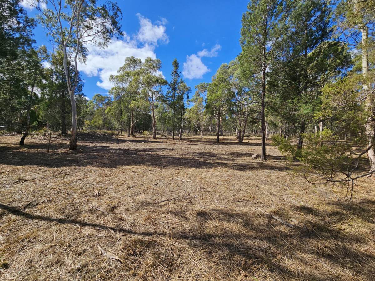Lot 1,  Elizabeth Street, Pontypool For Sale by Farmbuy.com - image 3