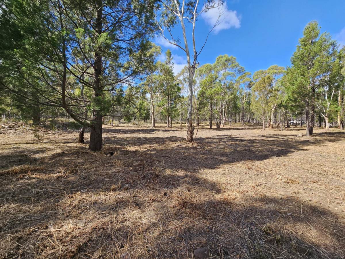Lot 1,  Elizabeth Street, Pontypool For Sale by Farmbuy.com - image 4