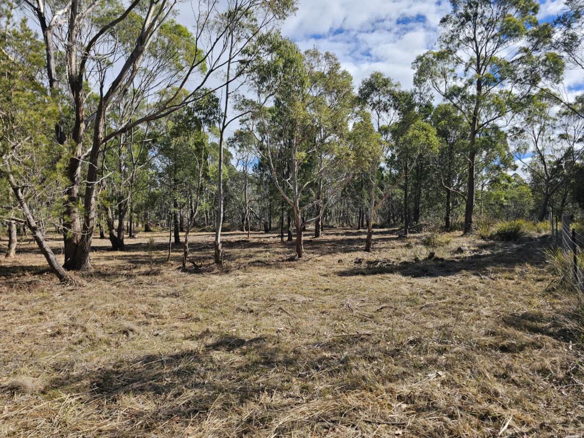 Lot 1,  Elizabeth Street, Pontypool For Sale by Farmbuy.com - image 12
