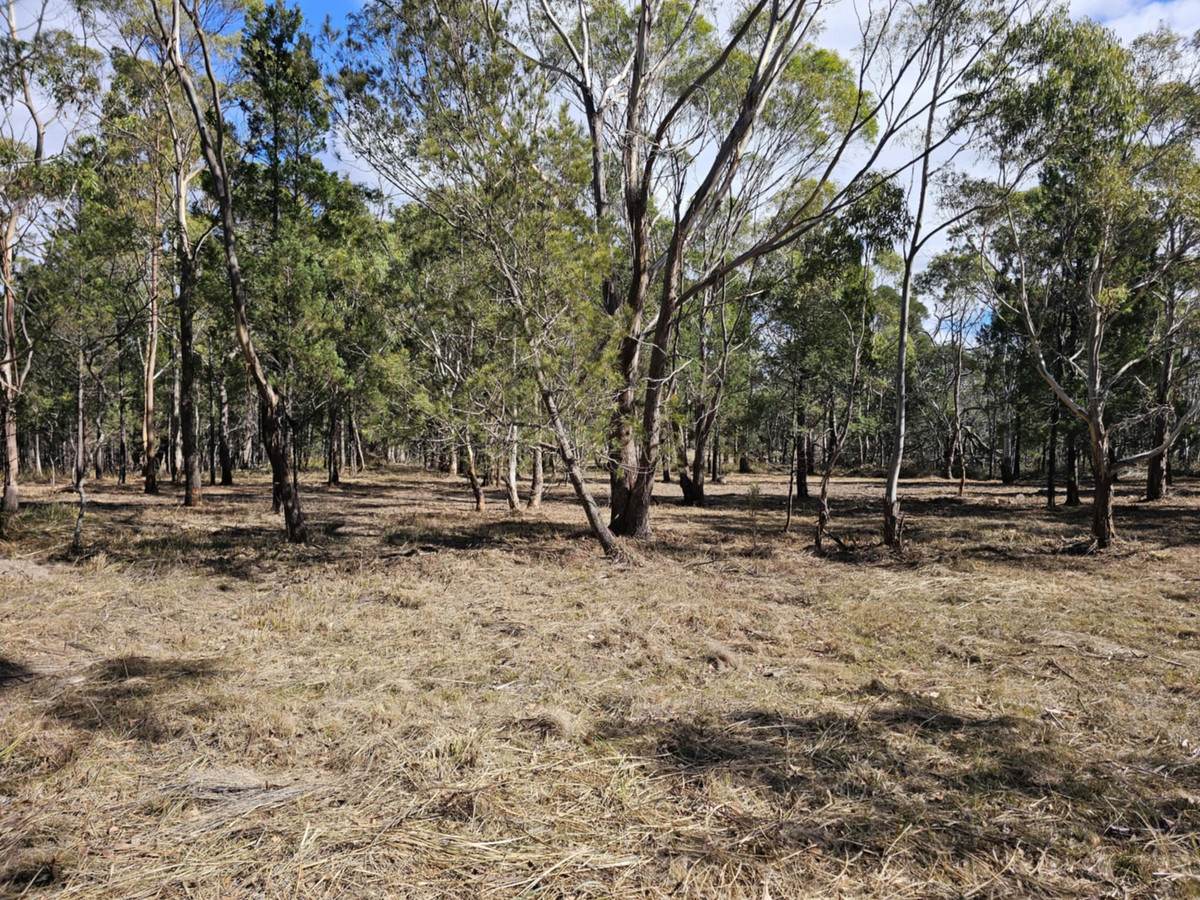 Lot 1,  Elizabeth Street, Pontypool For Sale by Farmbuy.com - image 7