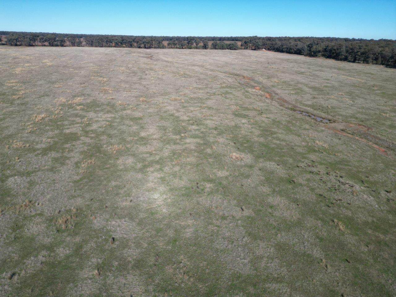 'Wildwood' 977 Schmidts Road, Temora For Sale by Farmbuy.com - image 10