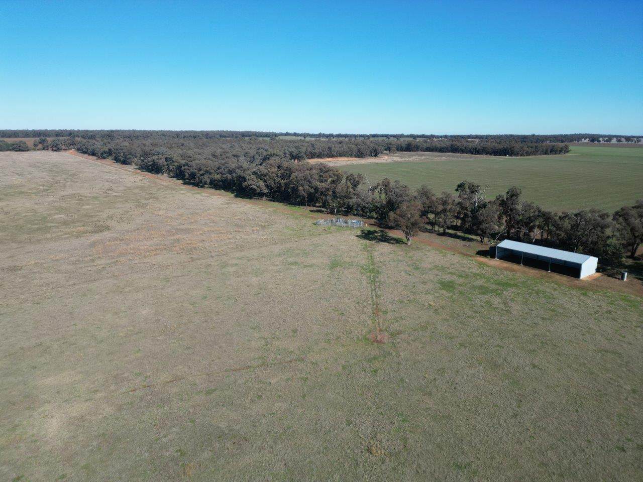 'Wildwood' 977 Schmidts Road, Temora For Sale by Farmbuy.com - image 5