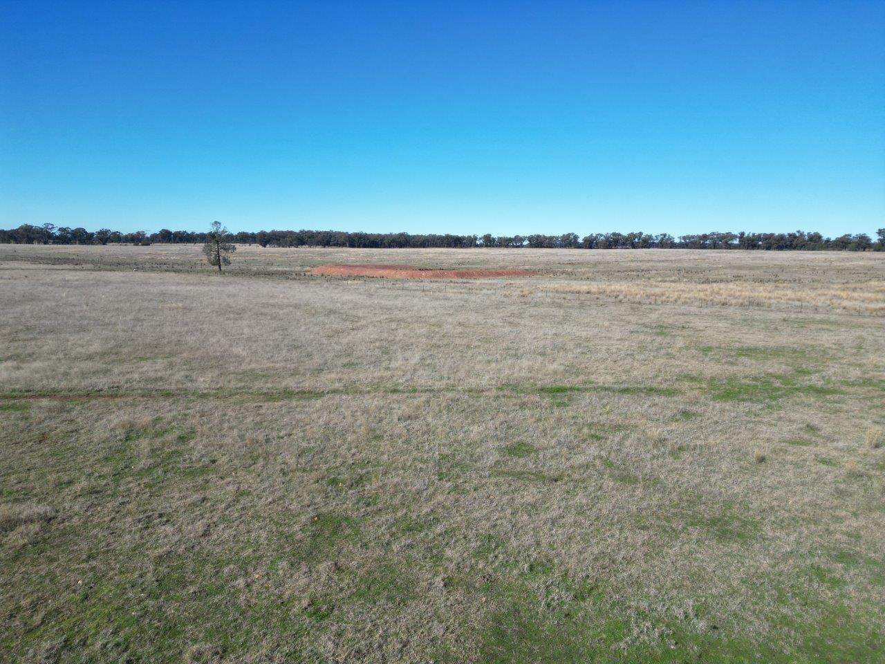 'Wildwood' 977 Schmidts Road, Temora For Sale by Farmbuy.com - image 4