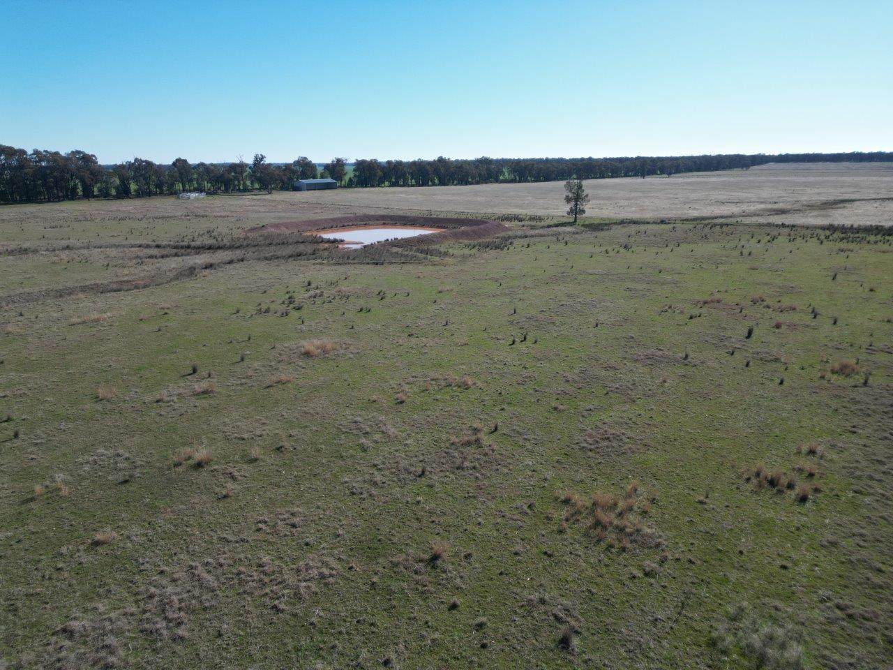 'Wildwood' 977 Schmidts Road, Temora For Sale by Farmbuy.com - image 9