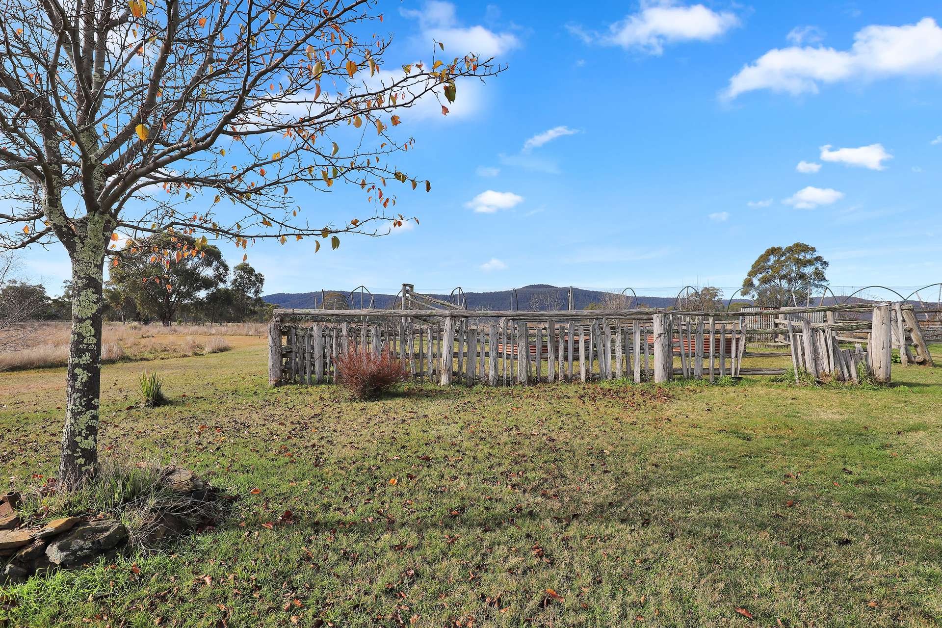 200 Range Road, Bonang For Sale by Farmbuy.com - image 18