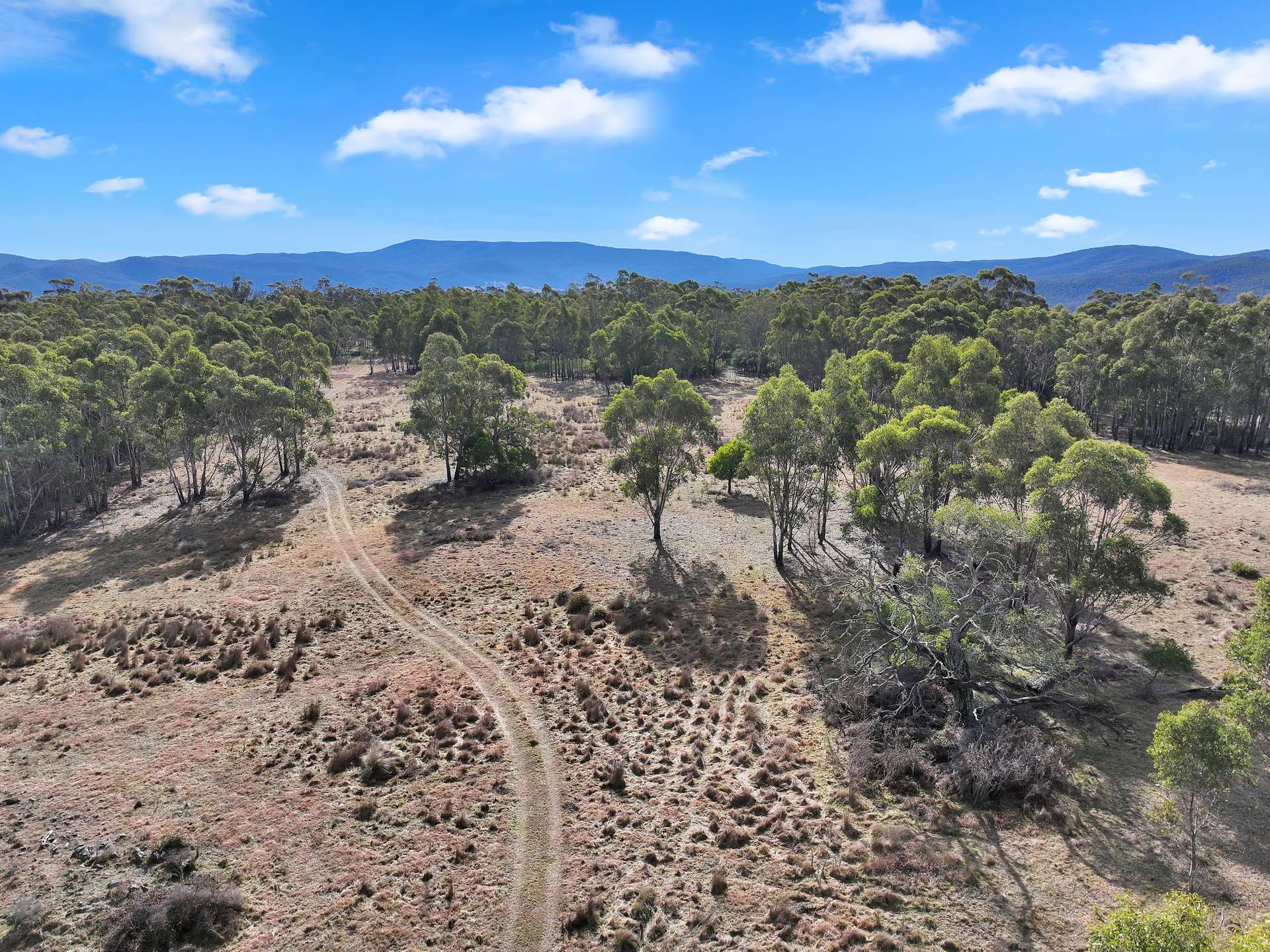 200 Range Road, Bonang For Sale by Farmbuy.com - image 28