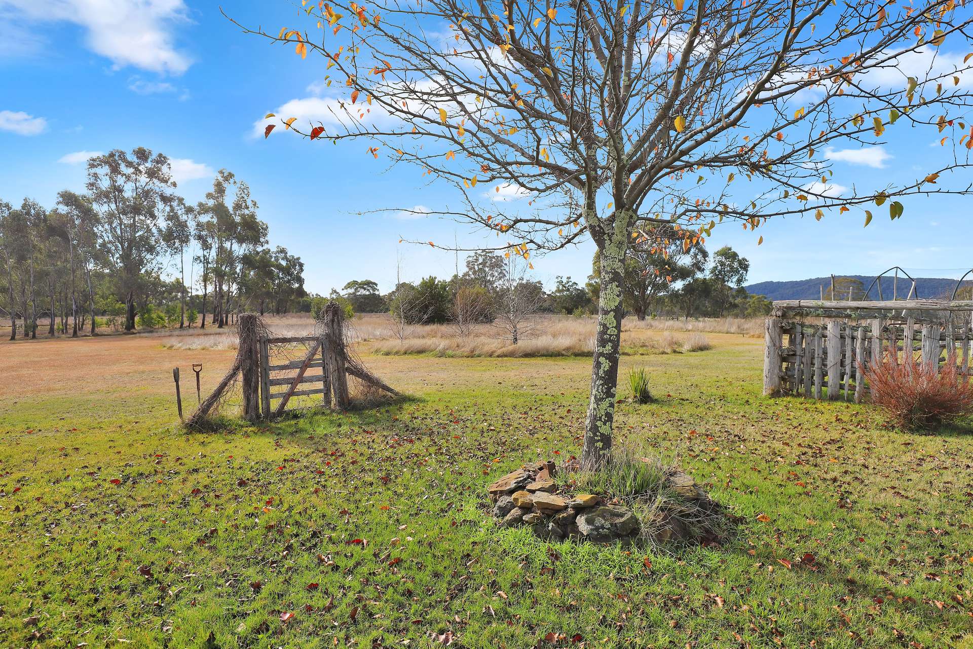 200 Range Road, Bonang For Sale by Farmbuy.com - image 17