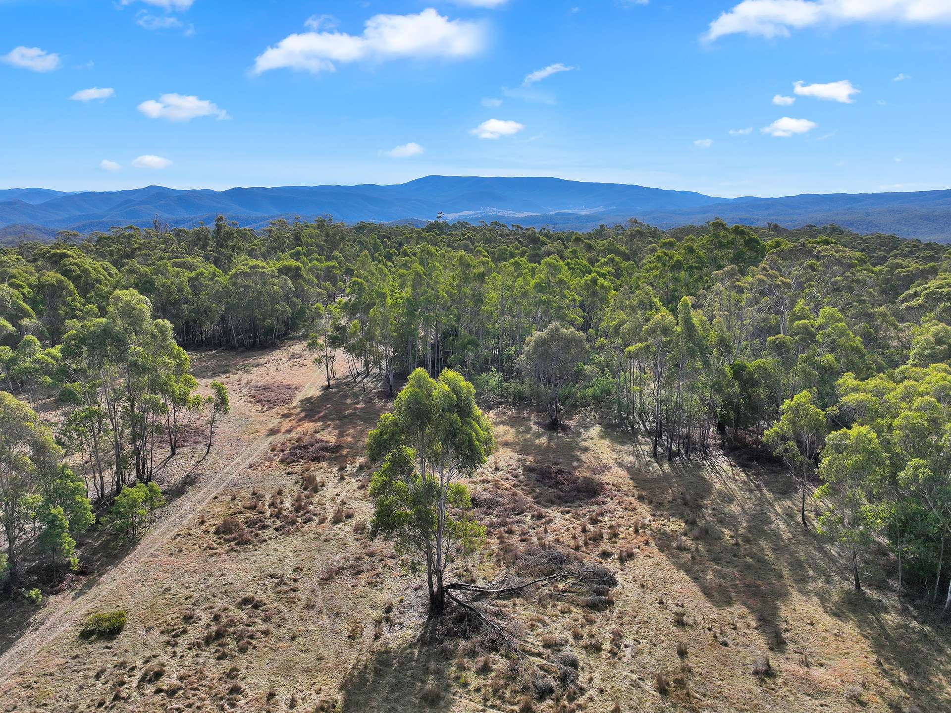 200 Range Road, Bonang For Sale by Farmbuy.com - image 29