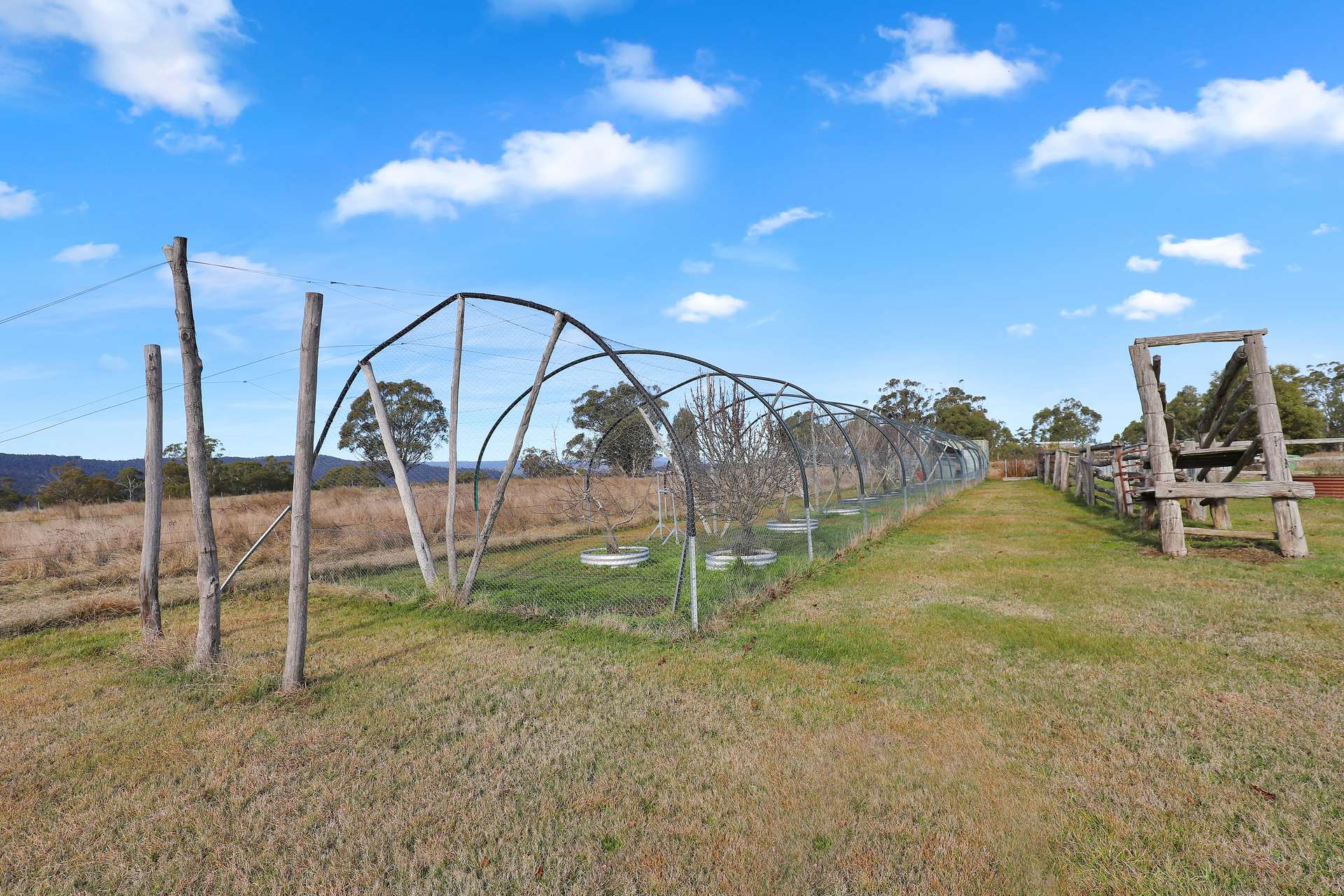 200 Range Road, Bonang For Sale by Farmbuy.com - image 19